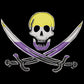 Pirate Pride - 12"x18"